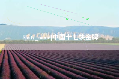 香港中国十七块金牌