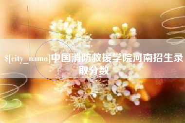 香港中国消防救援学院河南招生录取分数