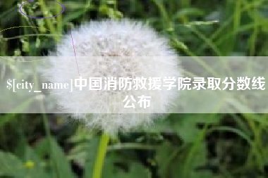 香港中国消防救援学院录取分数线公布