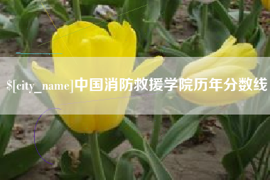 香港中国消防救援学院历年分数线