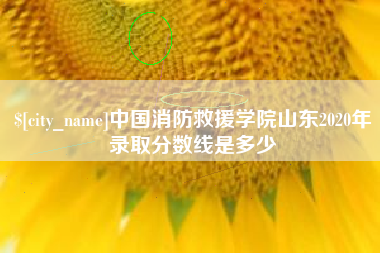 香港中国消防救援学院山东2020年录取分数线是多少