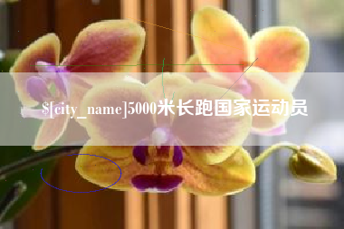 香港5000米长跑国家运动员