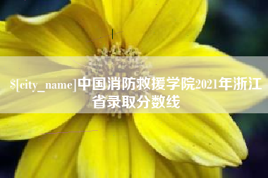 香港中国消防救援学院2021年浙江省录取分数线