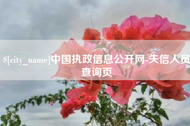 香港中国执政信息公开网-失信人员查询页