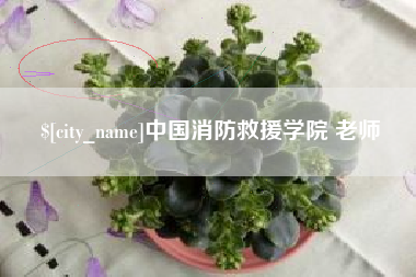 香港中国消防救援学院 老师