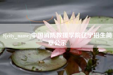 香港中国消防救援学院辽宁招生简章公示