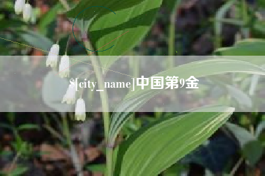 香港中国第9金