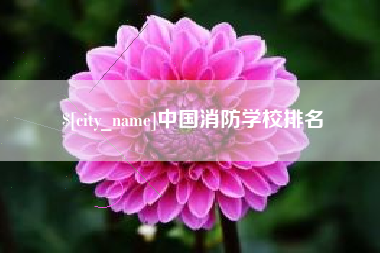 香港中国消防学校排名
