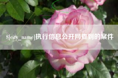 香港执行信息公开网查到的案件