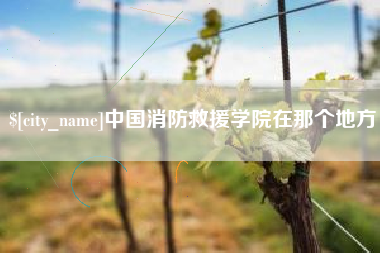 香港中国消防救援学院在那个地方