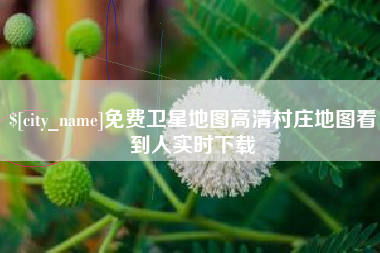 香港免费卫星地图高清村庄地图看到人实时下载