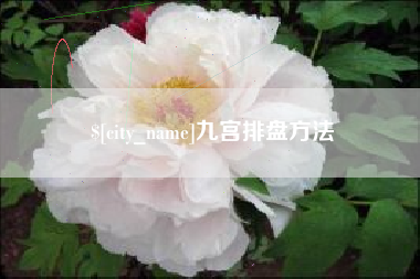 香港九宫排盘方法