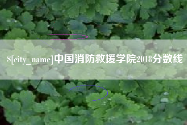 香港中国消防救援学院2018分数线