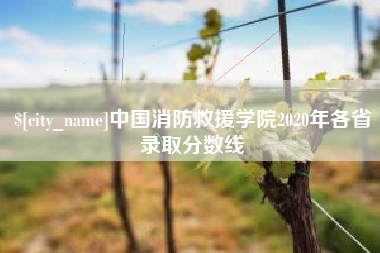 香港中国消防救援学院2020年各省录取分数线