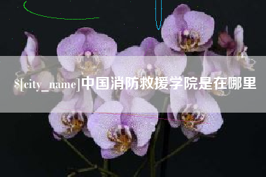 香港中国消防救援学院是在哪里