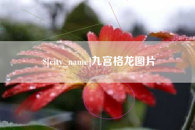 香港九宫格龙图片