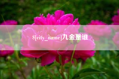 香港九金是谁