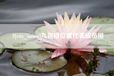 香港九宫格位置代表成员图