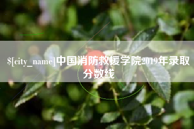 香港中国消防救援学院2019年录取分数线