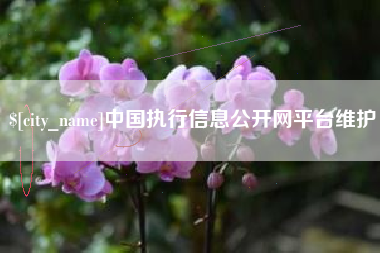 香港中国执行信息公开网平台维护