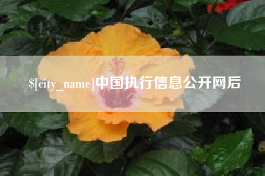 香港中国执行信息公开网后