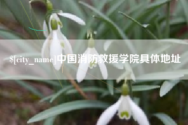 香港中国消防救援学院具体地址