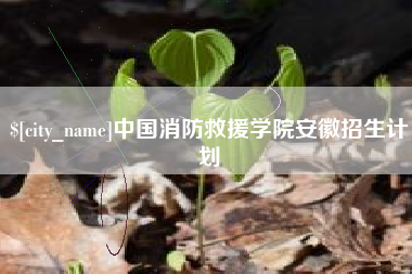 香港中国消防救援学院安徽招生计划