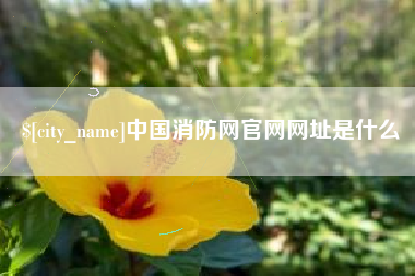 香港中国消防网官网网址是什么