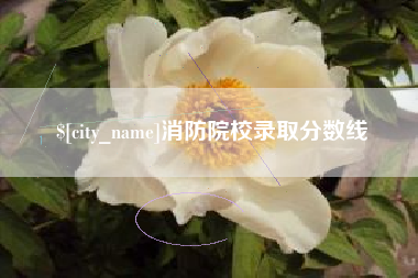 香港消防院校录取分数线
