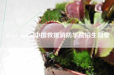 香港中国救援消防学院招生简章