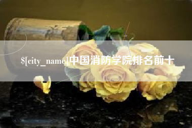 香港中国消防学院排名前十