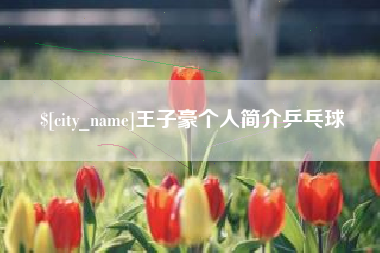 香港王子豪个人简介乒乓球