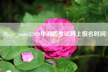 香港2020年消防考试网上报名时间