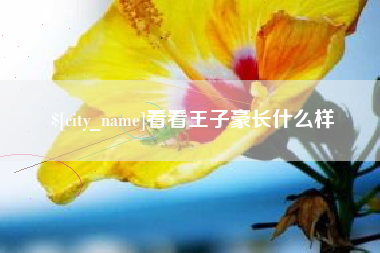 香港看看王子豪长什么样