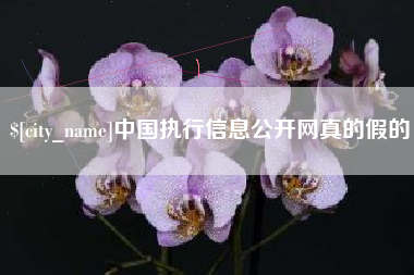 香港中国执行信息公开网真的假的