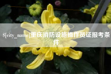 香港重庆消防设施操作员证报考条件
