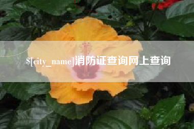香港消防证查询网上查询