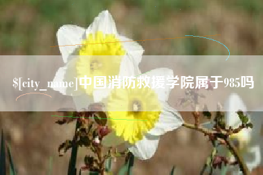 香港中国消防救援学院属于985吗