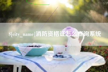 香港消防资格证怎么查询系统
