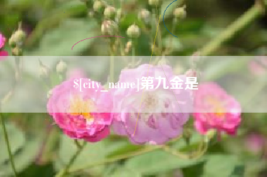 香港第九金是