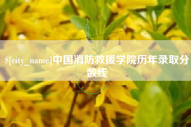 香港中国消防救援学院历年录取分数线