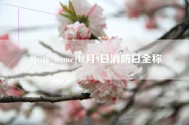 香港11月9日消防日全称