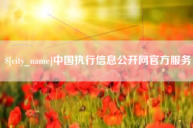 香港中国执行信息公开网官方服务