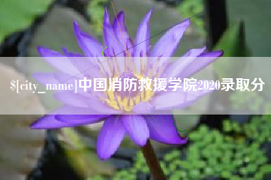 香港中国消防救援学院2020录取分