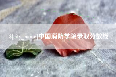 香港中国消防学院录取分数线