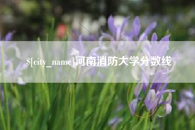 香港河南消防大学分数线