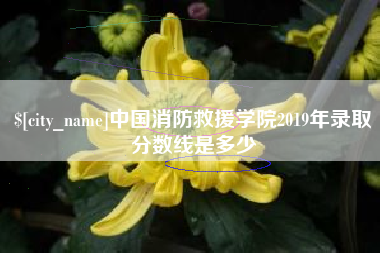 香港中国消防救援学院2019年录取分数线是多少