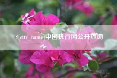 香港中国执行网公开查询