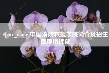 香港中国消防救援学院简介及招生章程指挥部