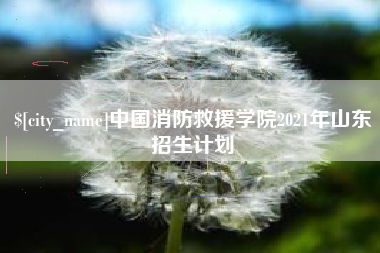 香港中国消防救援学院2021年山东招生计划